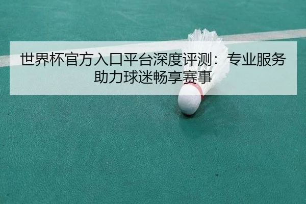 世界杯官方入口平台深度评测：专业服务助力球迷畅享赛事