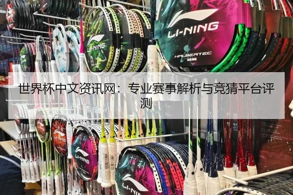 世界杯中文资讯网：专业赛事解析与竞猜平台评测